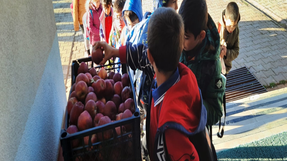 Sağlıklı Okul Meyve Günleri